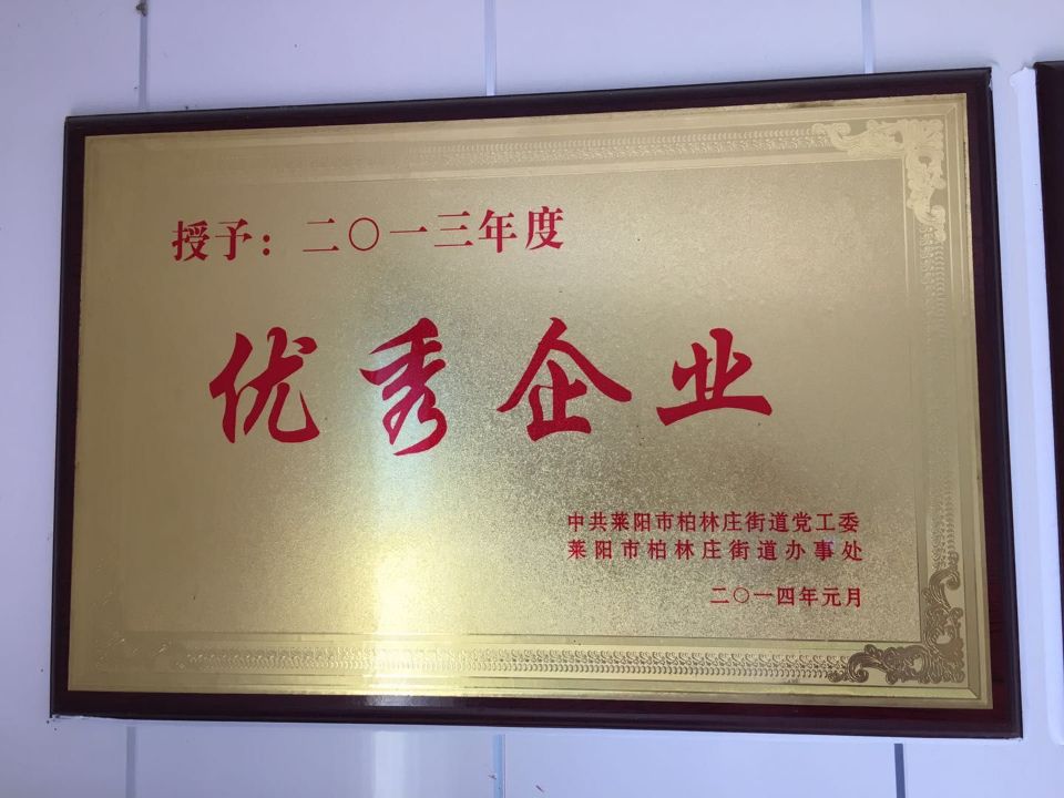 2013年度優(yōu)秀企業(yè)